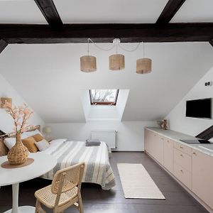 Appartement met een Slaapkamer